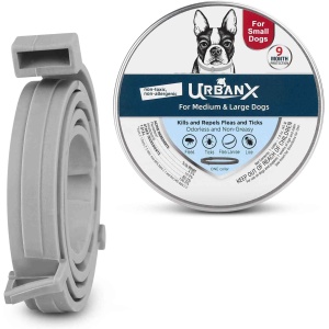 Advanced Dog Collar for All Companion Dogs - Rapid-Action, Long-Lasting Protection, Suitable for All Breeds and Sizes, 1 Pack